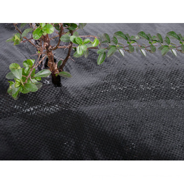 PP Woven Weed Mat/Ground Cover /Weed Barrier Mat for Agriculture